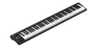 Icon Artist 88 110105A2032 MIDI клавиатура