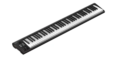 Icon Artist 88 110105A2032 MIDI клавиатура