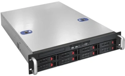 ExeGate Pro 2U550-HS08 EX292412RUS Серверная платформа 2