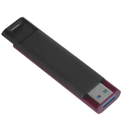 Kingston DTMAXA/512GB Память USB Flash 5