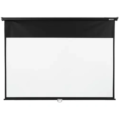 Lumien Eco Picture LEP-100129 Настенный экран 1
