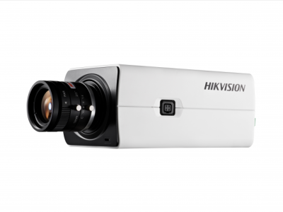 Hikvision DS-2CD2821G0 (AC24V/DC12V) IP-камера